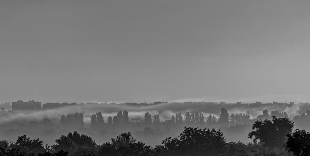 Фотографія Пришёл сентябрь с осенними туманами / Юрій Бабич / photographers.ua