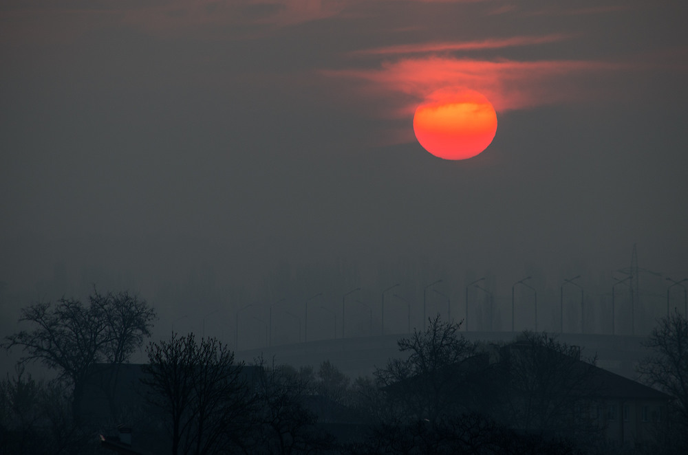 Фотографія Вышло солнце из тумана... / Юрій Бабич / photographers.ua