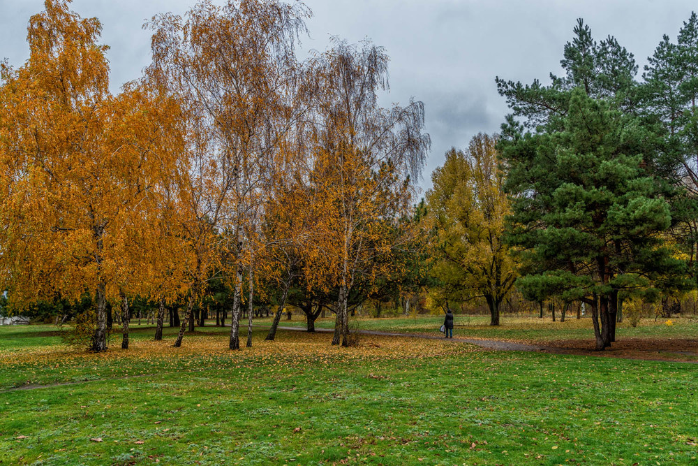 Фотографія Стежка в осінь / Юрій Бабич / photographers.ua