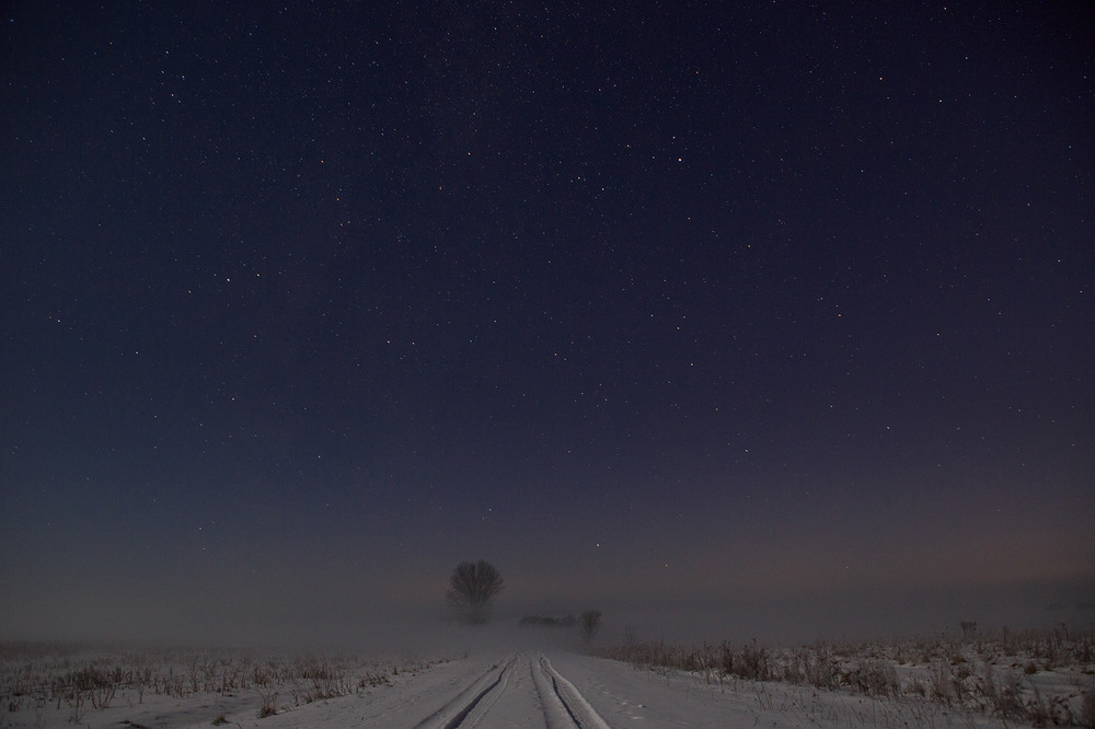 Фотографія Зимові зорі / Vasyl Vladyka / photographers.ua