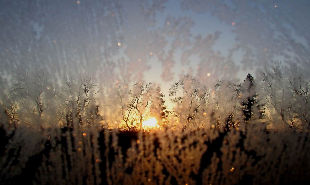 Фотографія Доброго ранку, зима! / Наталия Черненко (RedTata) / photographers.ua
