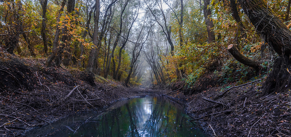 Фотографія Witch / Александр Куликов / photographers.ua