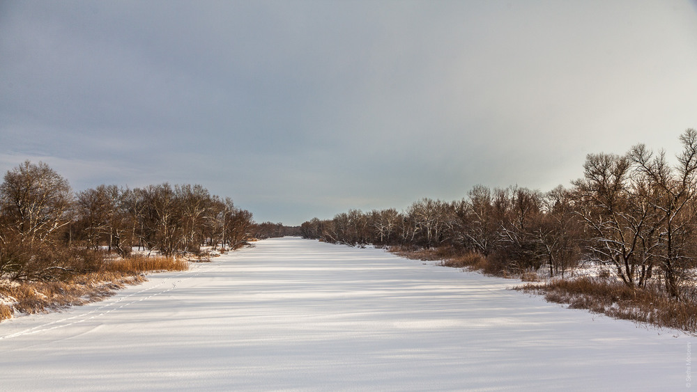 Фотографія Орель зимой / Serg Moiseew / photographers.ua