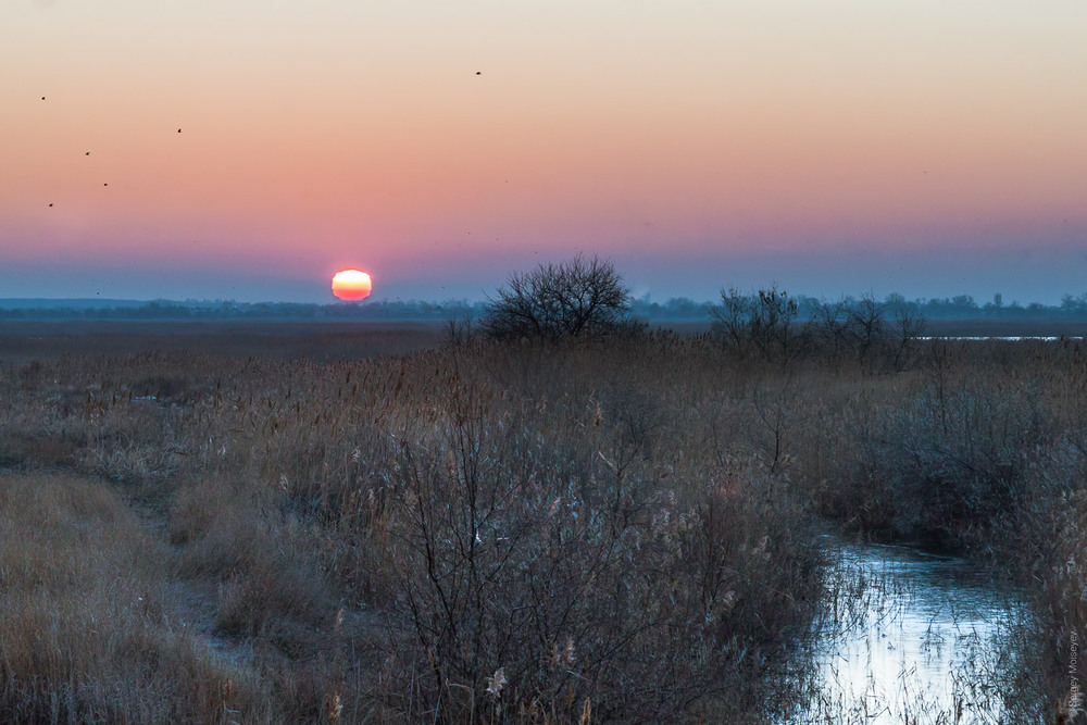 Фотографія Восход расплавленного солнца / Serg Moiseew / photographers.ua