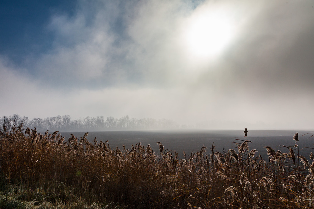 Фотографія Туман / Serg Moiseew / photographers.ua