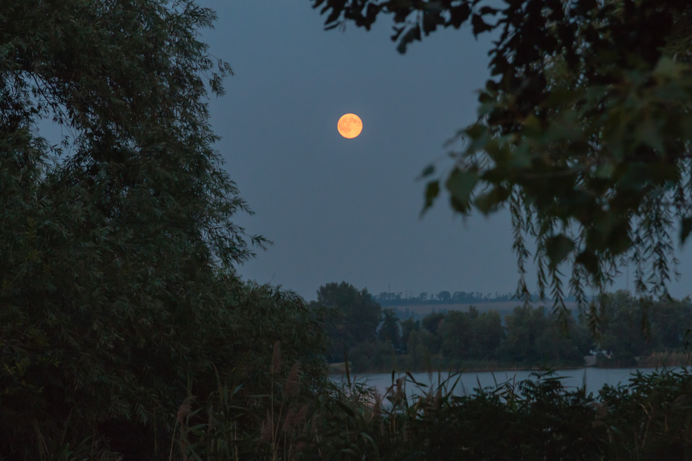 Фотографія Blue Moon / Serg Moiseew / photographers.ua