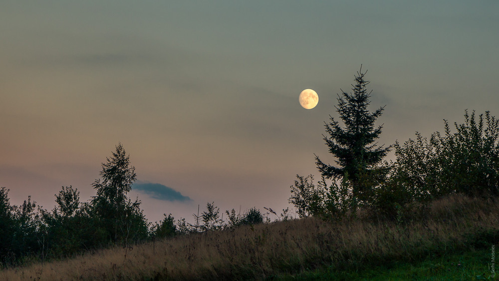Фотографія The Moon / Serg Moiseew / photographers.ua