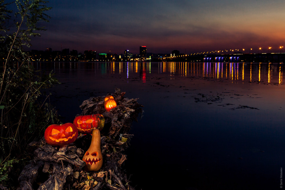 Фотографія Halloween pumpkins / Serg Moiseew / photographers.ua