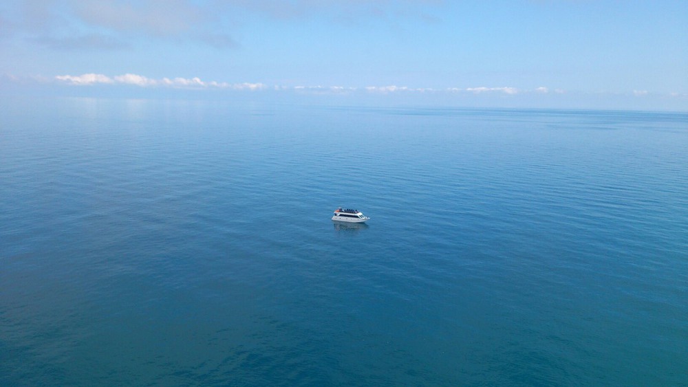 Фотографія одинокий в море... / Танька Дженкова / photographers.ua