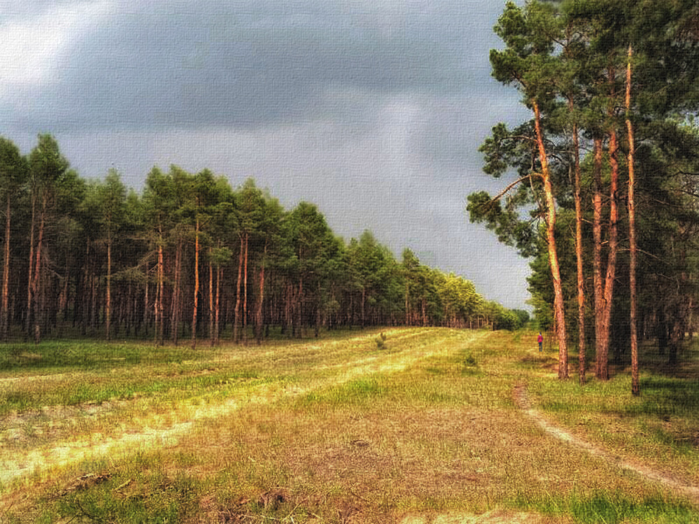 Фотографія Матвеевский лес. г.Николаев / Виктория / photographers.ua