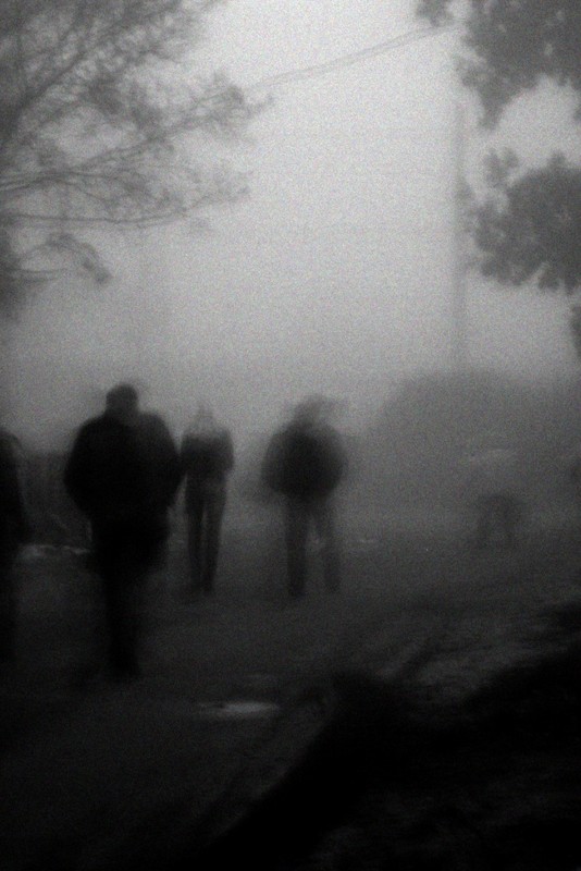 Фотографія призраки в тумане / Dmitriy Dorohov / photographers.ua