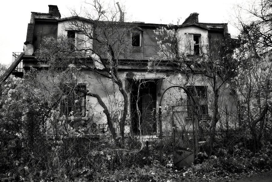 Фотографія Abandoned house on the on the outskirt / Liza Rose / photographers.ua