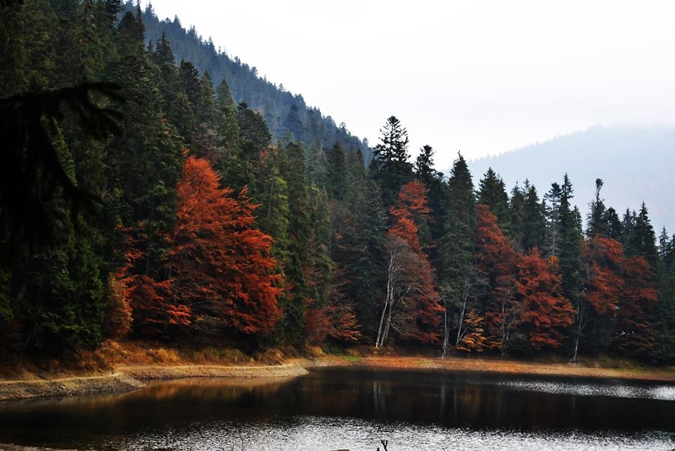 Фотографія Lake and autumn / Liza Rose / photographers.ua