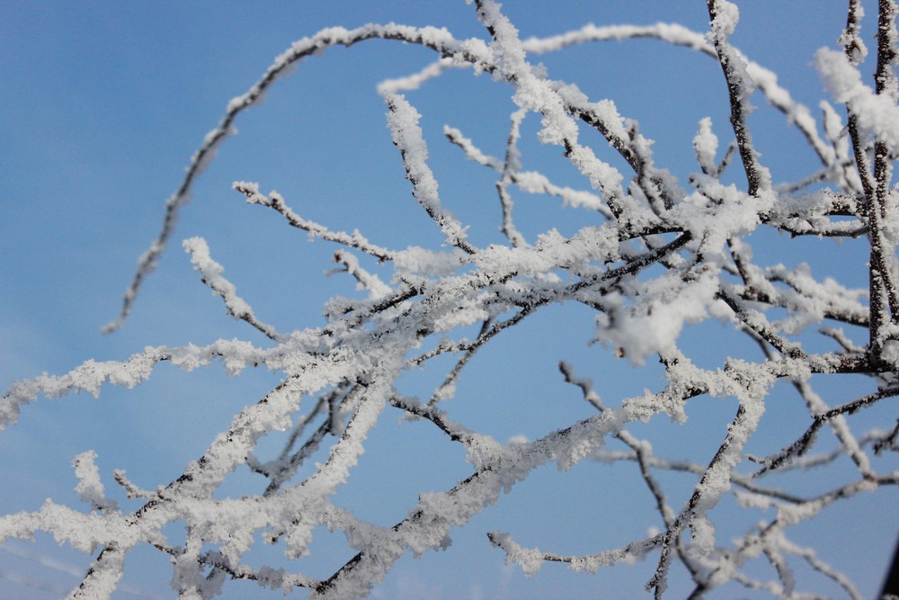 Фотографія ***зима / Iryna Kuchii / photographers.ua