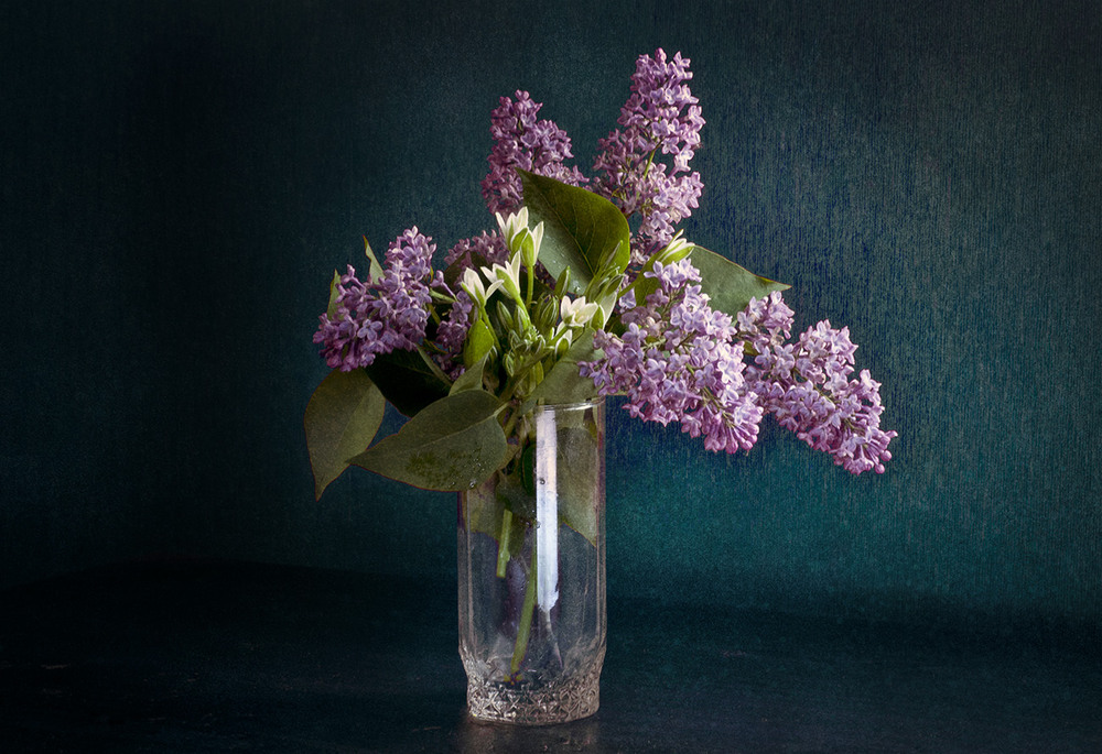 Фотографія Натюрморт / Назар Іванів / photographers.ua