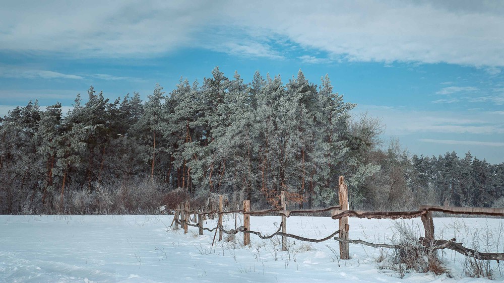 Фотографія Зима с.Токари / Дмитрий Курган / photographers.ua