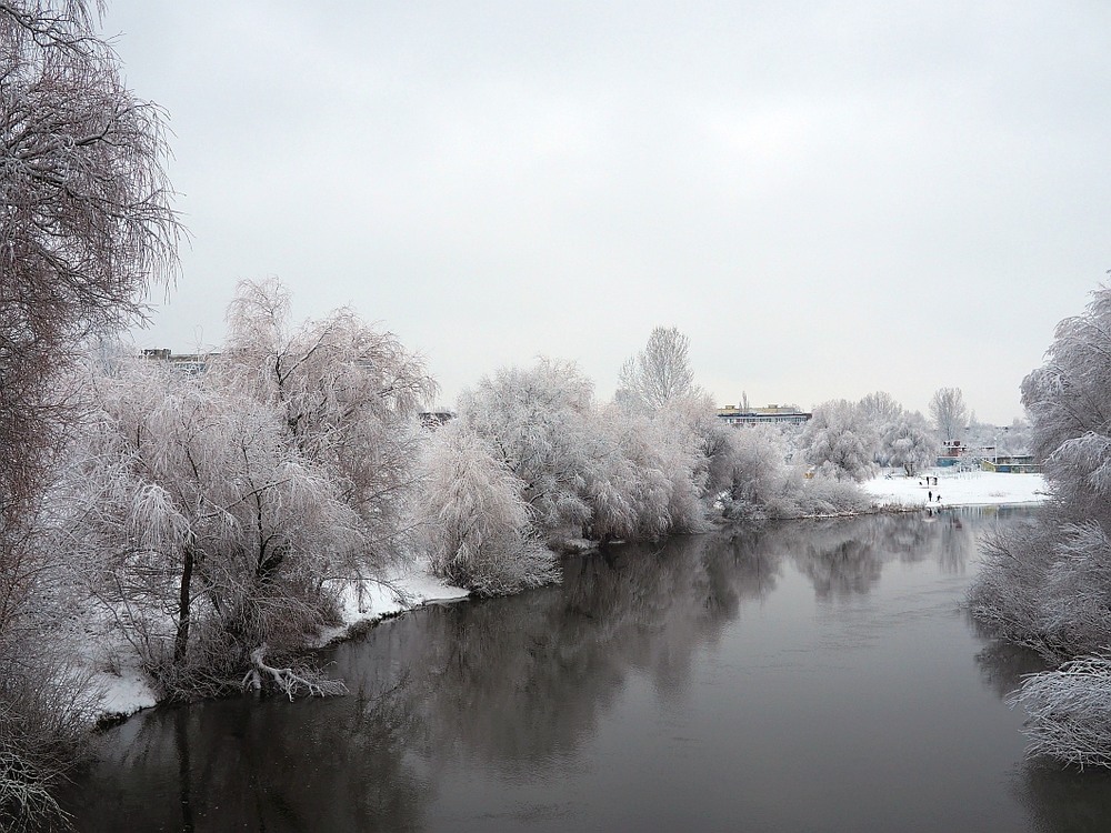 Фотографія Зимовий пейзаж / Igor Golovach / photographers.ua