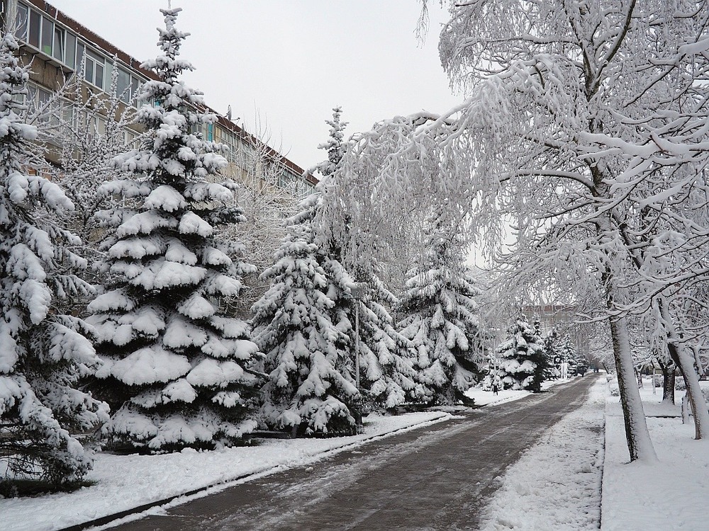 Фотографія Зимний наряд / Igor Golovach / photographers.ua