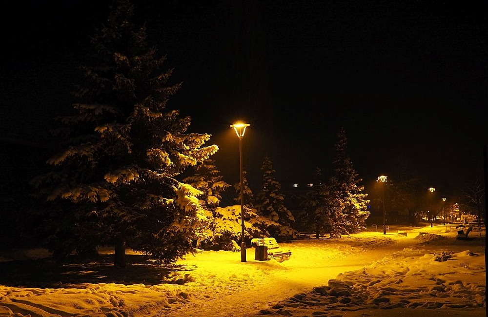 Фотографія Зимовий вечір / Igor Golovach / photographers.ua