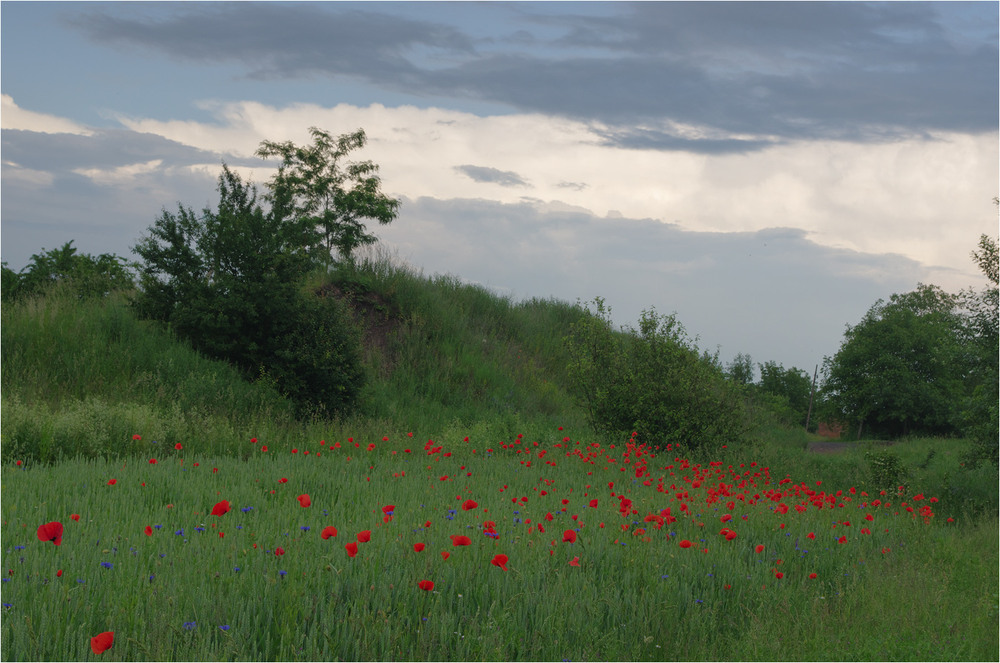Фотографія Пейзаж / Burda Andrey / photographers.ua