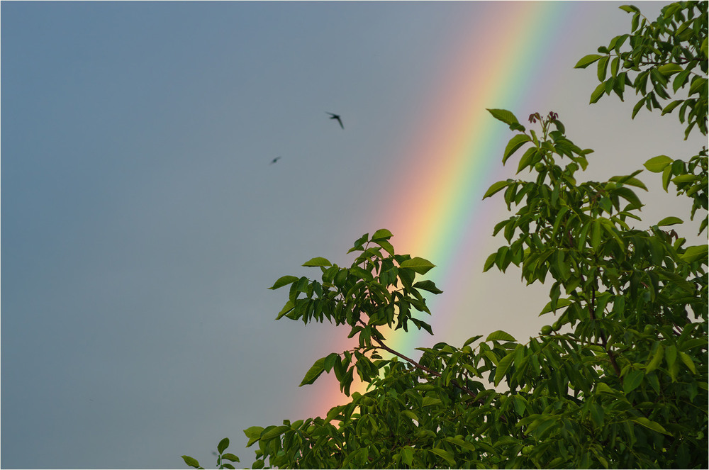 Фотографія Разное / Burda Andrey / photographers.ua