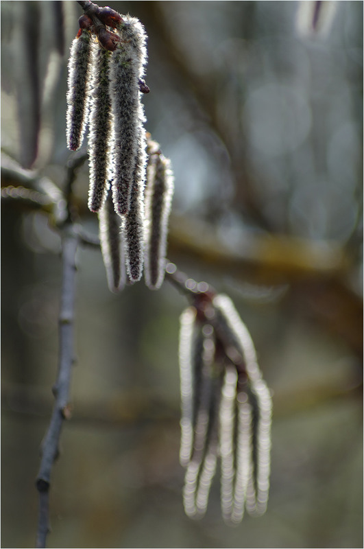 Фотографія Разное / Burda Andrey / photographers.ua
