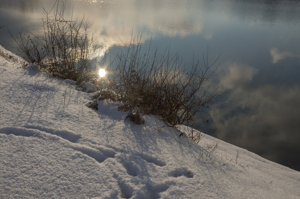 Фотографія Немного солнца в холодной воде / Burda Andrey / photographers.ua