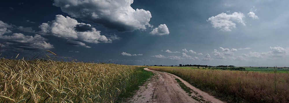 Фотографія Дорогою батьківського кохання / Vitaliy Prokopenko / photographers.ua