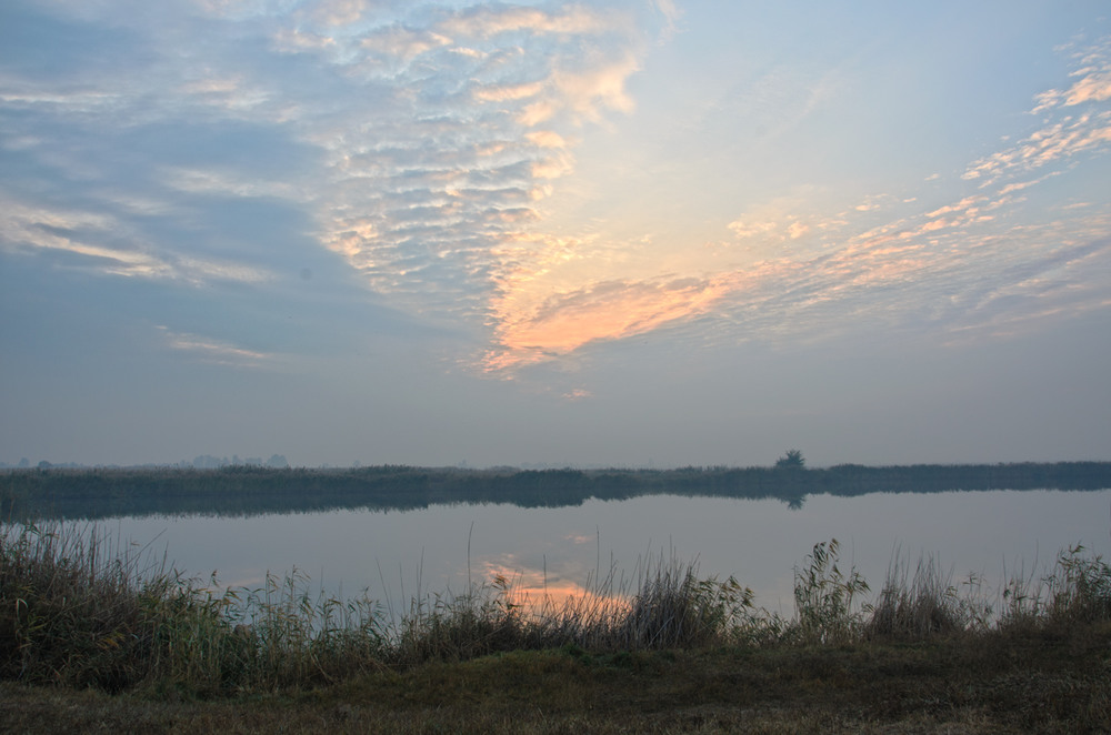 Фотографія Утренняя тишина...Ранняя безсонница... / Dowgopol Ksenia / photographers.ua
