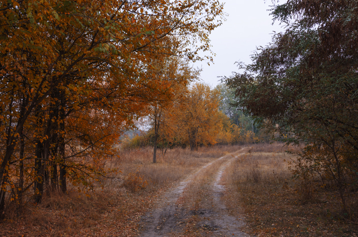 Фотографія Каждый из нас решает сам, чем будет для него эта осень - унылая пора, или очей очарование... / Dowgopol Ksenia / photographers.ua