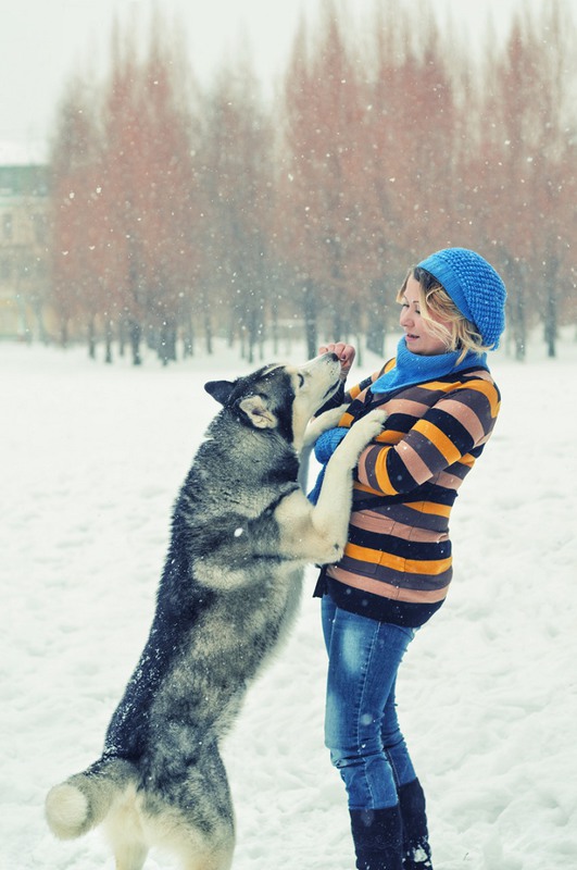 Фотографія Возможно, собаки - это последние ангелы, которые остались с людьми на земле... / Dowgopol Ksenia / photographers.ua
