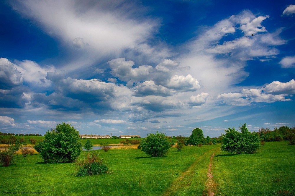 Фотографія Деревенские зарисовки / Dowgopol Ksenia / photographers.ua