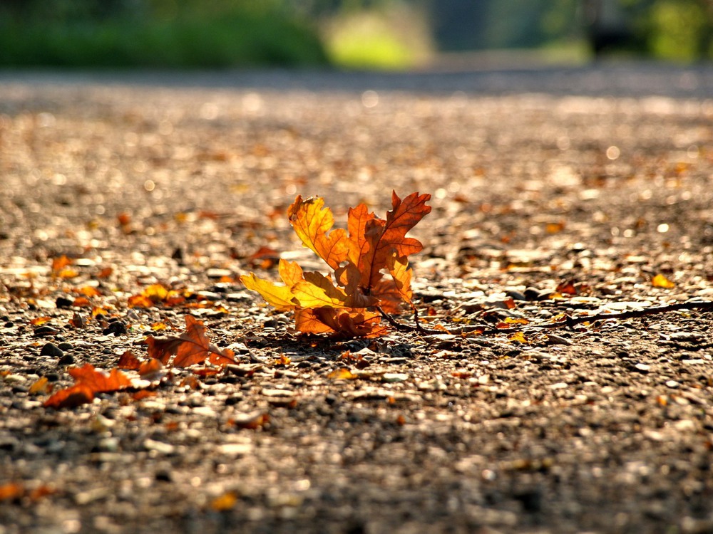Фотографія *** / Мартиша Кравчик / photographers.ua