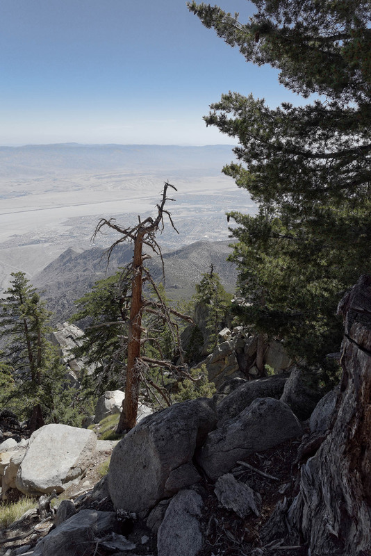 Фотографія San Jacinto 3300m / ihor / photographers.ua