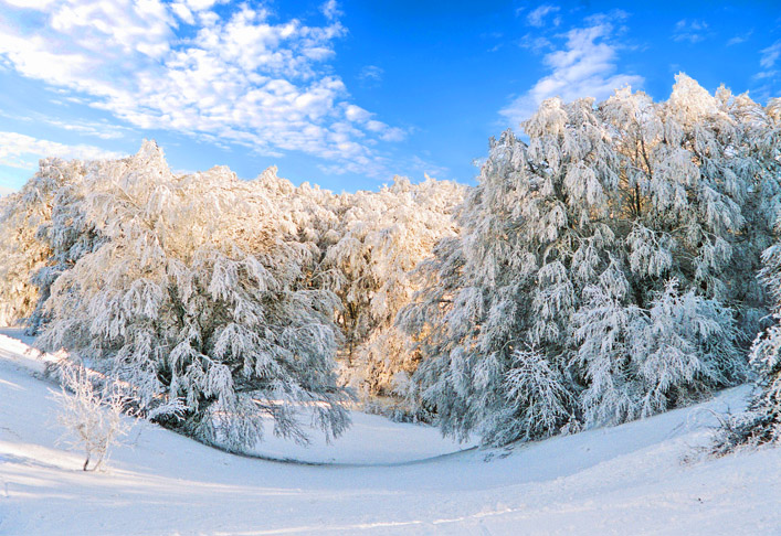 Фотографія Из серии Зима в Крыму / YURIY KHOMYAKOV / photographers.ua