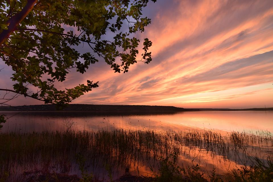 Фотографія "Жар-птица" / Новикова Светлана / photographers.ua