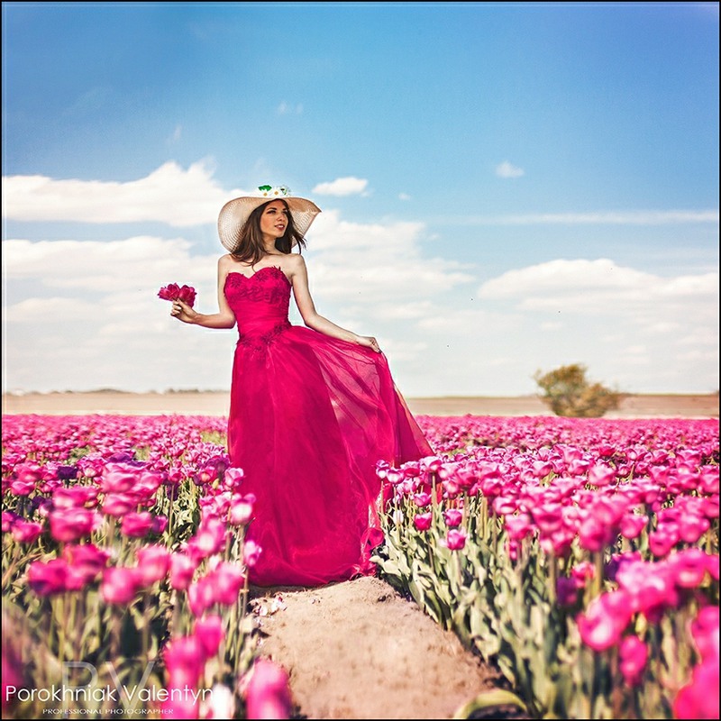Фотографія tulip-tulip / Валентин Порохняк / photographers.ua