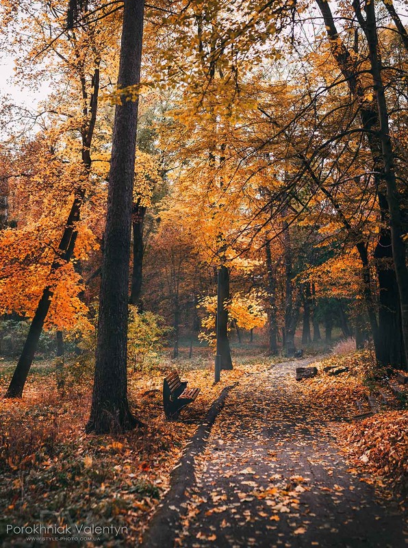 Фотографія парк Леонтовича м.Вінниця / Валентин Порохняк / photographers.ua