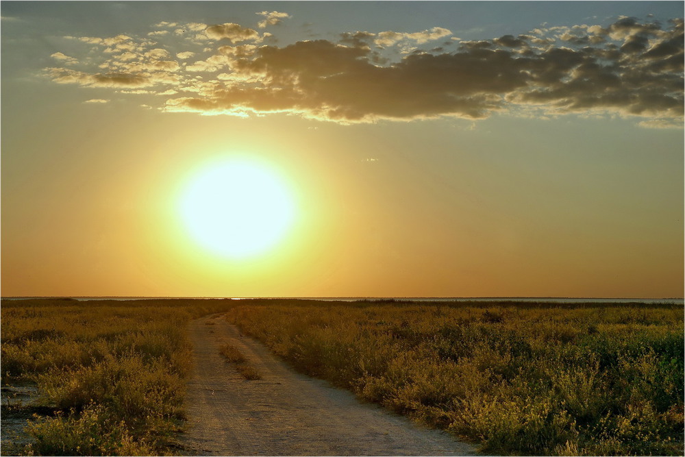 Фотографія Road to the Sun 2 / Вл-р Гармаш (Mordatiy_1) / photographers.ua