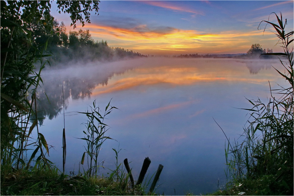Фотографія Утро туманное 4 / Вл-р Гармаш (Mordatiy_1) / photographers.ua