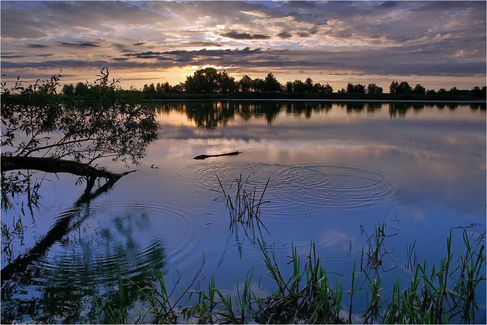 Фотографія Ставок "Ісове" 3 / Вл-р Гармаш (Mordatiy_1) / photographers.ua