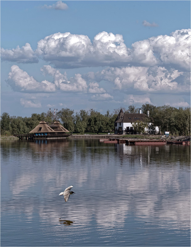 Фотографія Пролетая под облаками... / Юрий Муханов / photographers.ua