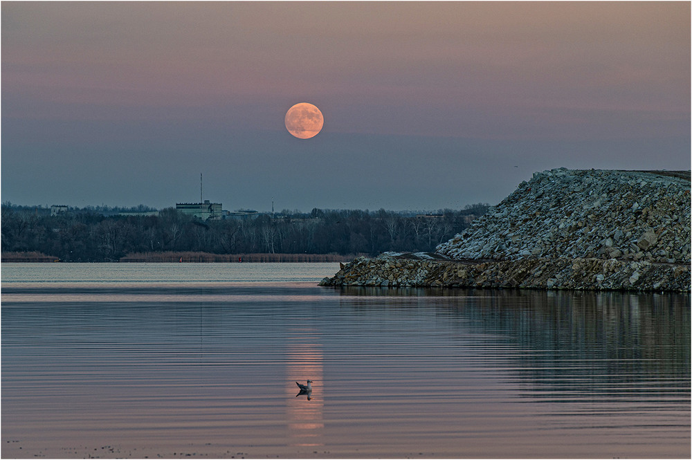 Фотографія Качаясь в отражении луны / Юрий Муханов / photographers.ua