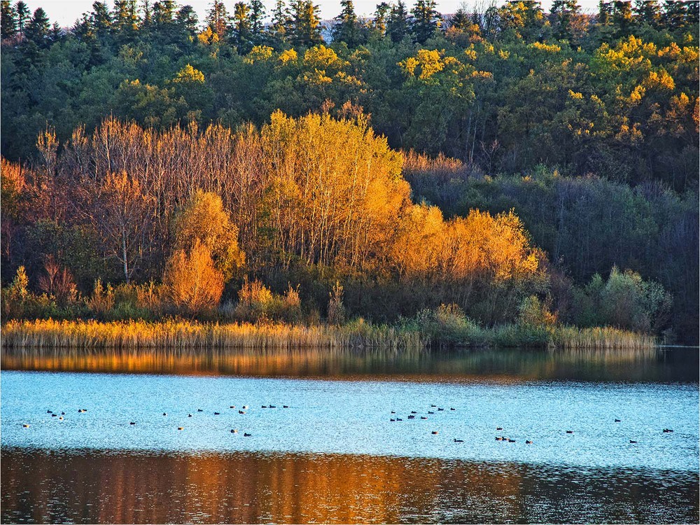 Фотографія Осеннее озеро / Юрий Муханов / photographers.ua