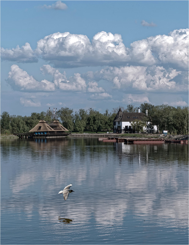 Фотографія Пролетая над облаками... / Юрий Муханов / photographers.ua