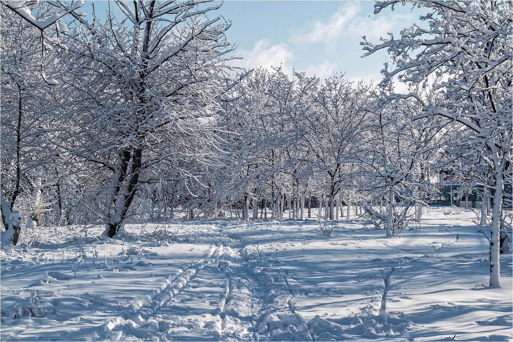 Фотографія Голубые снеги / Юрий Муханов / photographers.ua