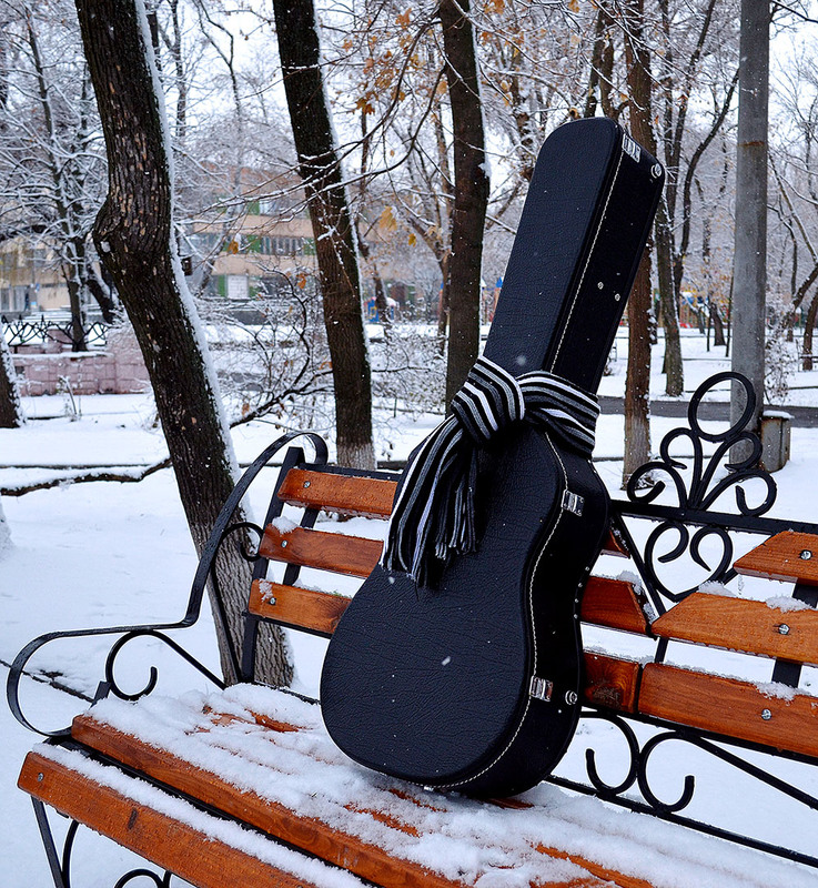 Фотографія музыка под снегом / Сергій Локотков / photographers.ua
