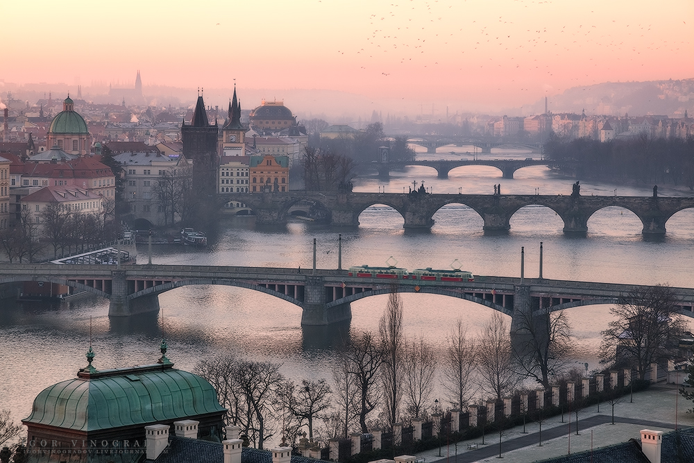 Фотографія Вид на мосты через Влтаву. / Виноградов Игорь / photographers.ua