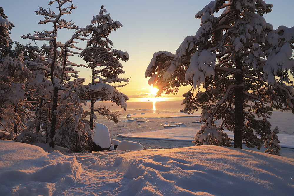 Фотографія Winter Sun / Oleksandr PRock / photographers.ua