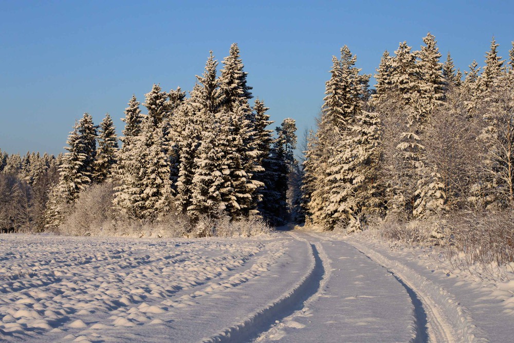 Фотографія Winter in Finland / Oleksandr PRock / photographers.ua